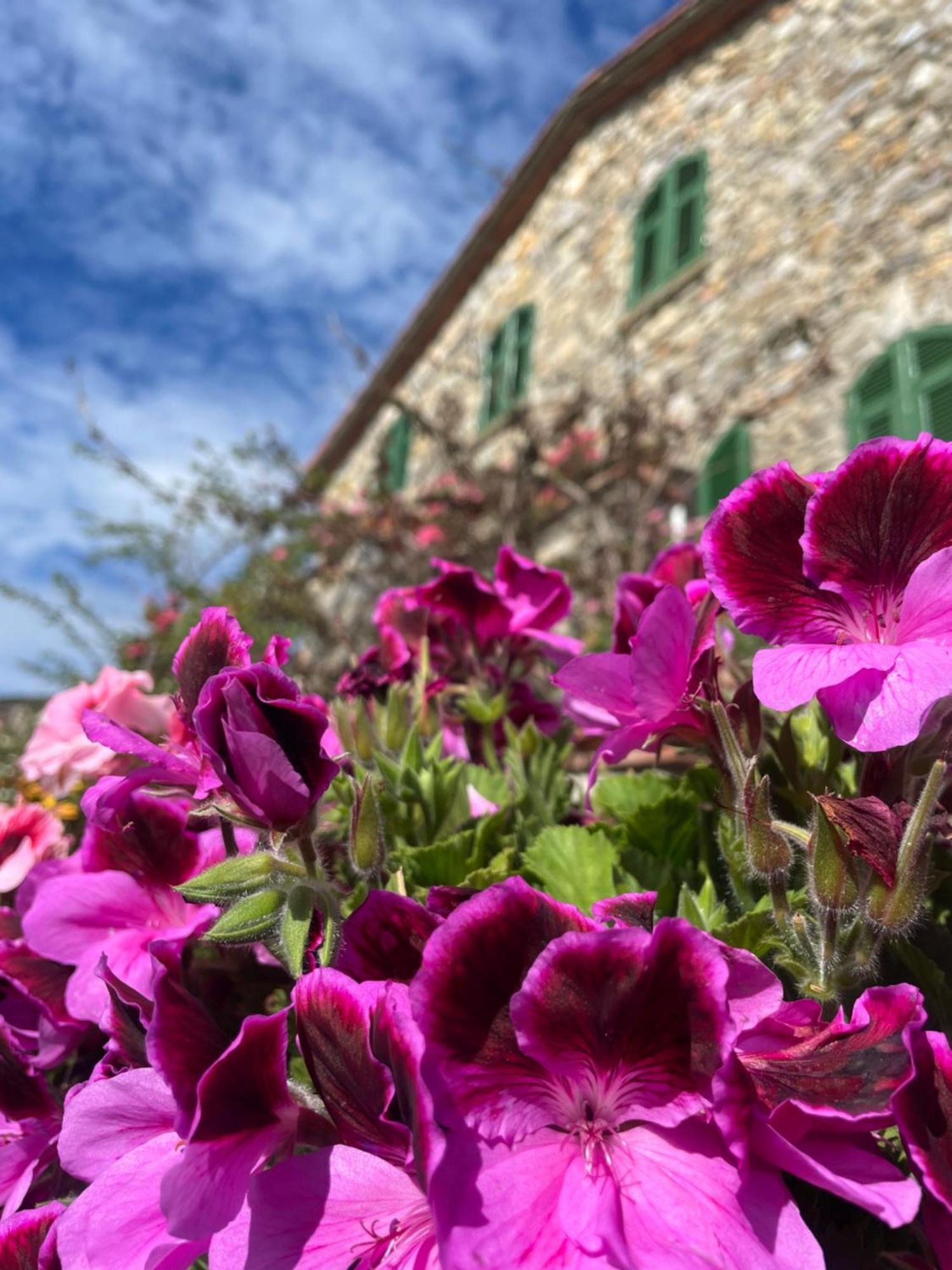 Il Casale Del Magra Hotel Ameglia Kültér fotó